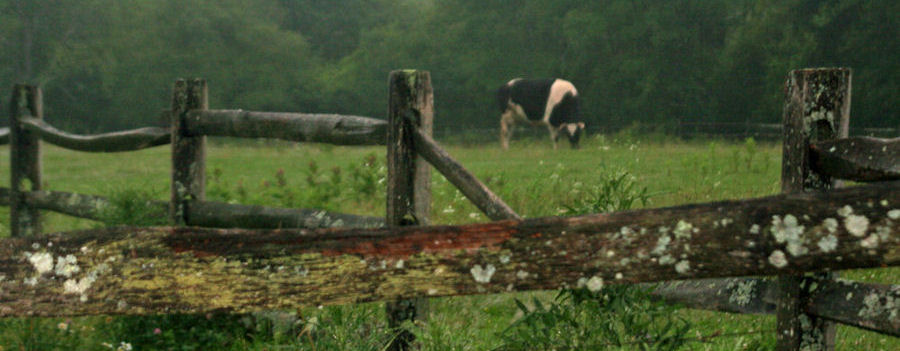 rainy day 900.jpg